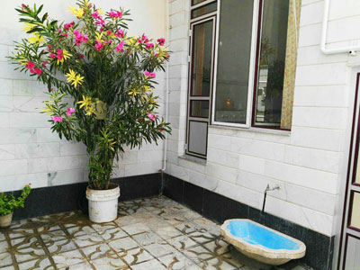 اجاره سوئیت در دامپزشکی تبریز
